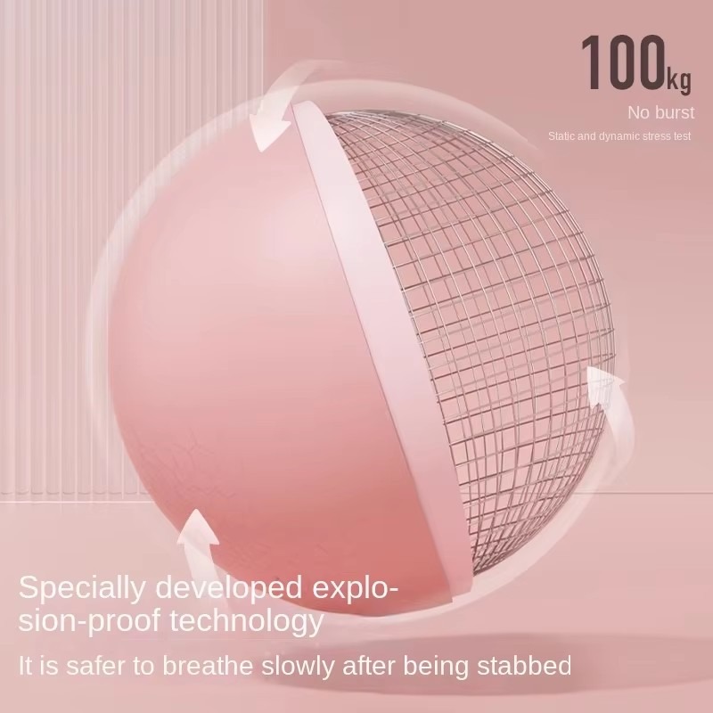女性ジムヨガフィットネスボール肥厚タイプ防爆直径25センチピ - Pilates Ball Mini のレビューと価格