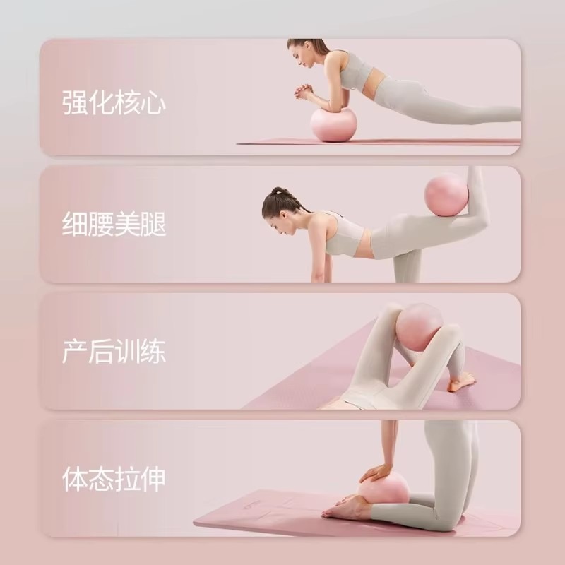 女性ジムヨガフィットネスボール肥厚タイプ防爆直径25センチピ - Pilates Ball Mini のレビューと価格